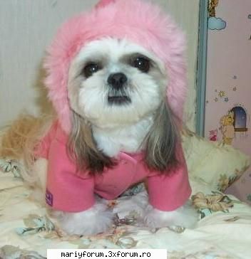 lumea animalelor [img]