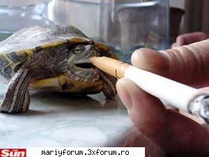 lumea animalelor [img]                