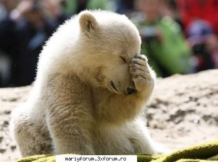 lumea animalelor [img]