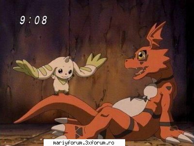 digimon tamers guilmon terriermon