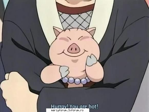 tonton hihihi sweet piggy
