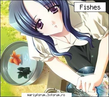 what's your ideal pet? anime fishes! blubble, yeah fishes are cool. they are more but they wouldn't