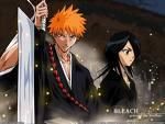 inoue orihime       Worn 2