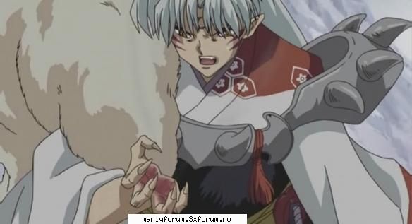 inuyasha vs. sesshomaru rullz