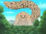 Descopera personajul din Naruto - devine un demon al nisipului.cinei? - Concursuri