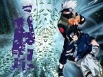 Fazan - SASUKE_UCHIHA - jocuri