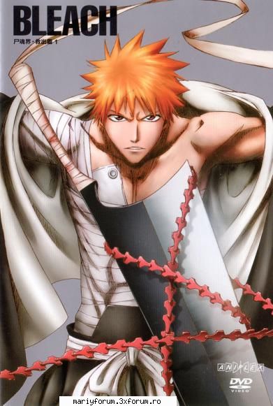 Ichigo Kurosaki - imi place cai puternic - Bleach