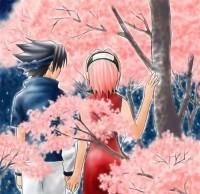 ..:: Interviu pt fani despre Sasuke ::.. - eu........pai ce sa zic multi dintre oameni il - Naruto