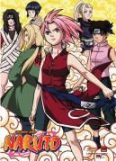 Poze - laura_bravo_girl - Naruto