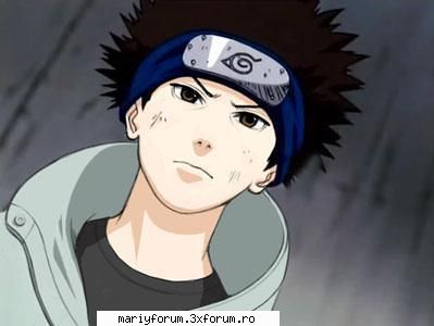 Poze - shino fara ochelari - Naruto