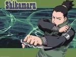 dar tot numi vine sa cred ca  shikamaru a ajuns primul chunin sumar
