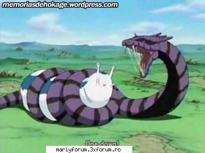 cuplurile preferate - kirama&tobi katsuyu&manda sai&amida - Naruto