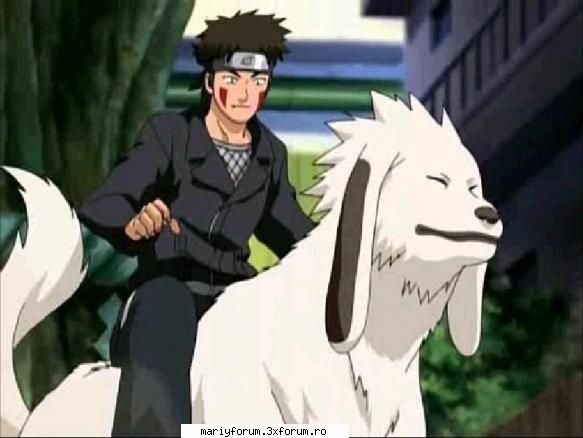kiba - ce mare sa facut akamaru - Naruto