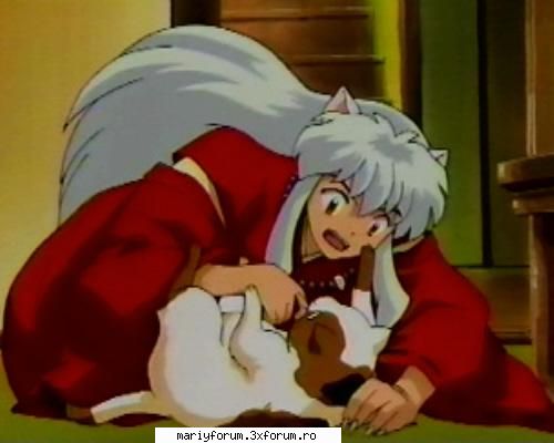 poze faine - Inuyasha - Inuyasha