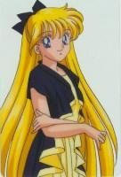 sailoor venus - kagome chan - Sailor Moon