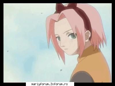 sakura