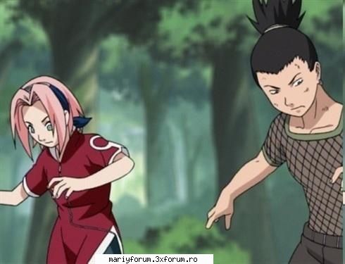 sakura - sakura si shikamaru - Naruto