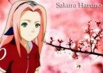sakura - kagome chan - Naruto