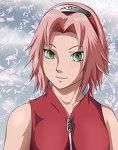 sakura - kagome chan - Naruto