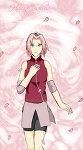 sakura - kagome chan - Naruto