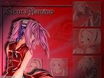 sakura - kagome chan - Naruto