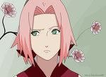 sakura - kagome chan - Naruto
