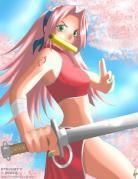 nr8 sakura
