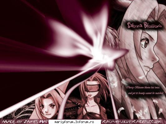 sakura vs ino - sinzi_suzi - Naruto