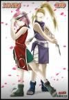 sakura vs ino - inca una si gata - Naruto