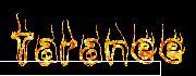 taranee - fantomamarii - Witch